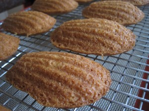 Lemon Madeleines, The Allergen-Free Baker's Handbook