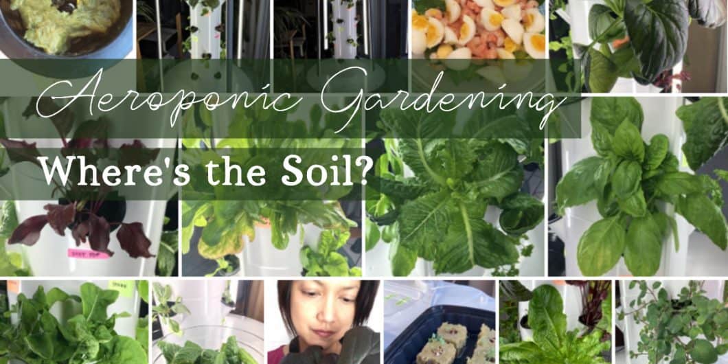 aeroponics-tower-garden Tower Garden Aeroponics