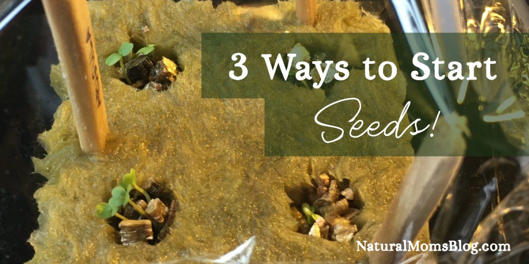 start-seeds-tower-garden Start seeds for the Tower Garden