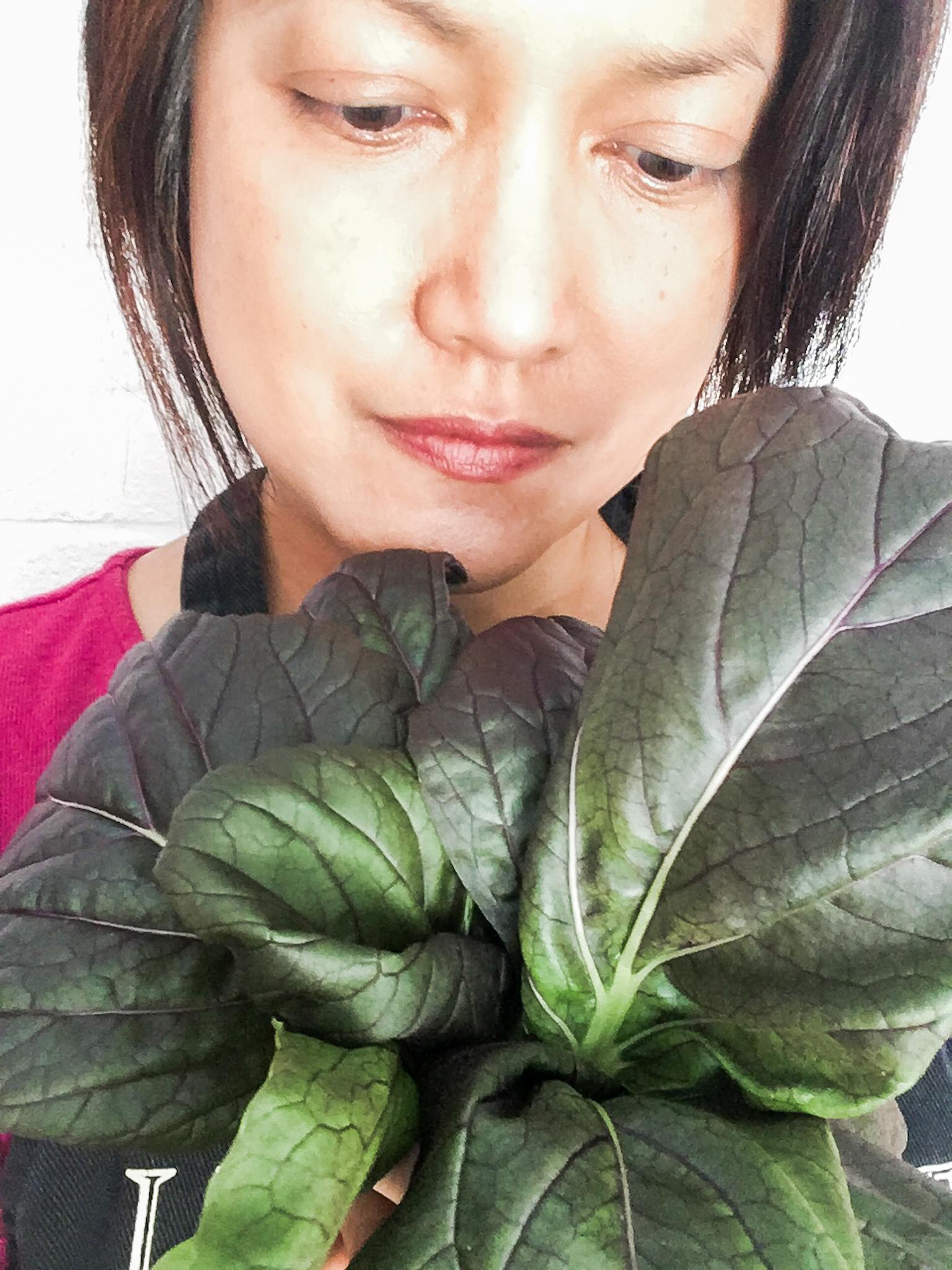 Tower Garden - Purple Bok Choy