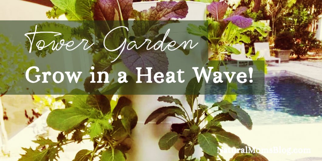 tower-garden-heat-wave Tower Garden in a Heat Wave