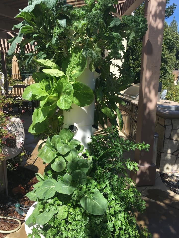 Tower Garden in shade