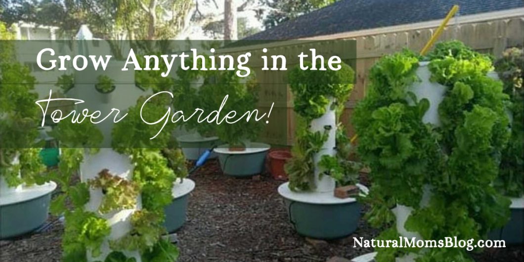 what-can-you-grow-in-the-tower-garden What can you grow in the Tower Garden