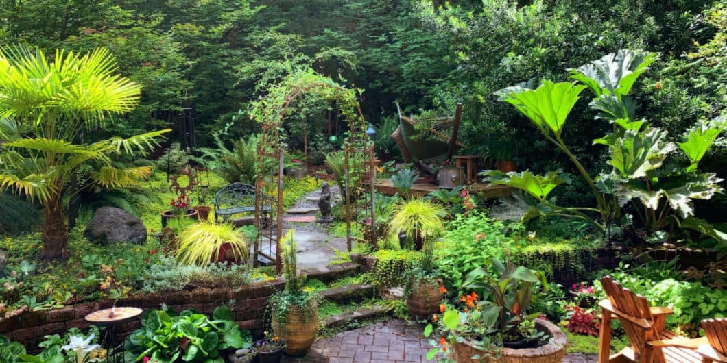 backyard-oasis