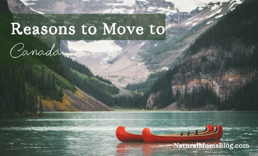 why-canada-is-appealing families flock north-why Canada is appealing